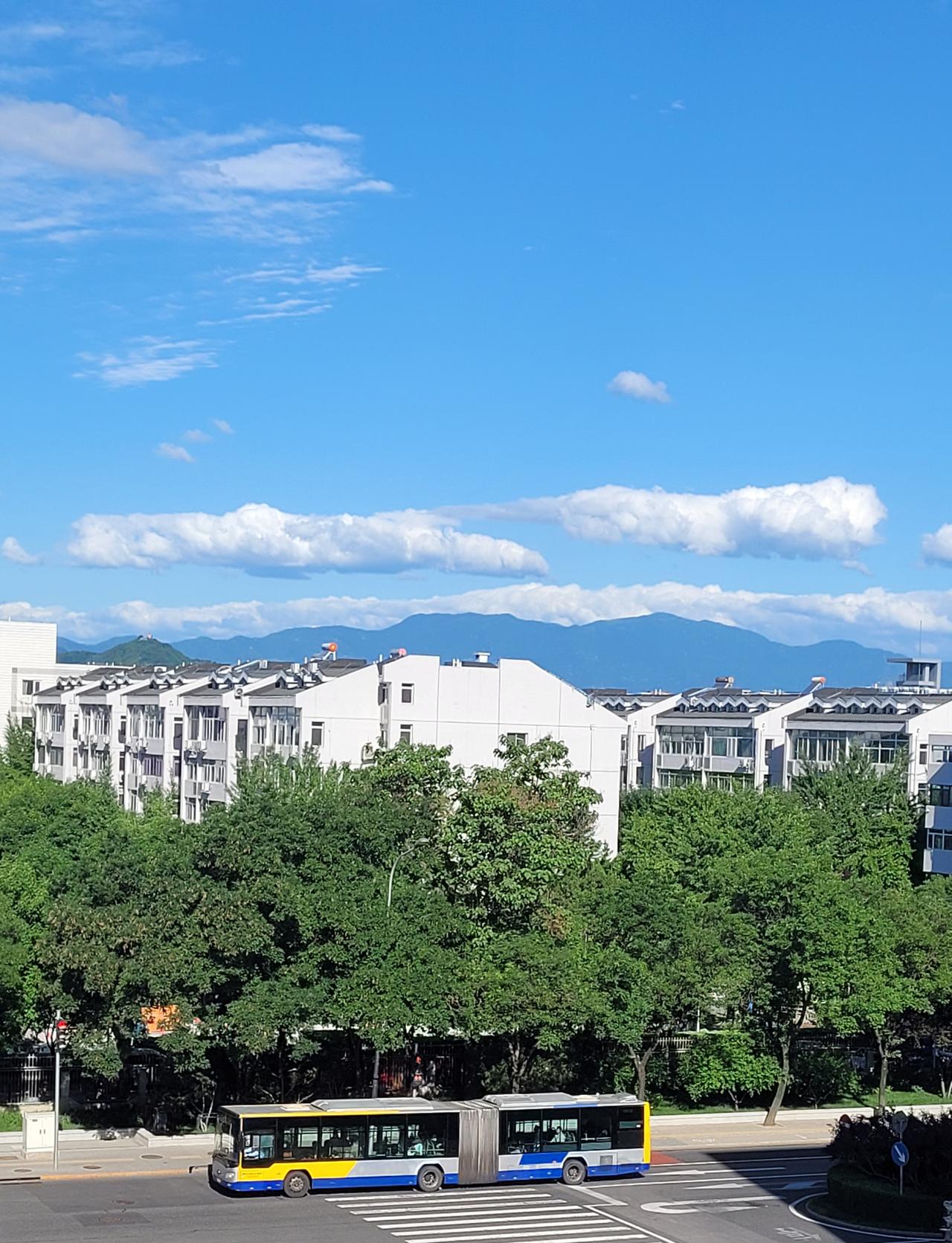德云社下狠手了！28日下午发布官方处罚通知：解除杨鹤通的德云社教学主任职务；暂停