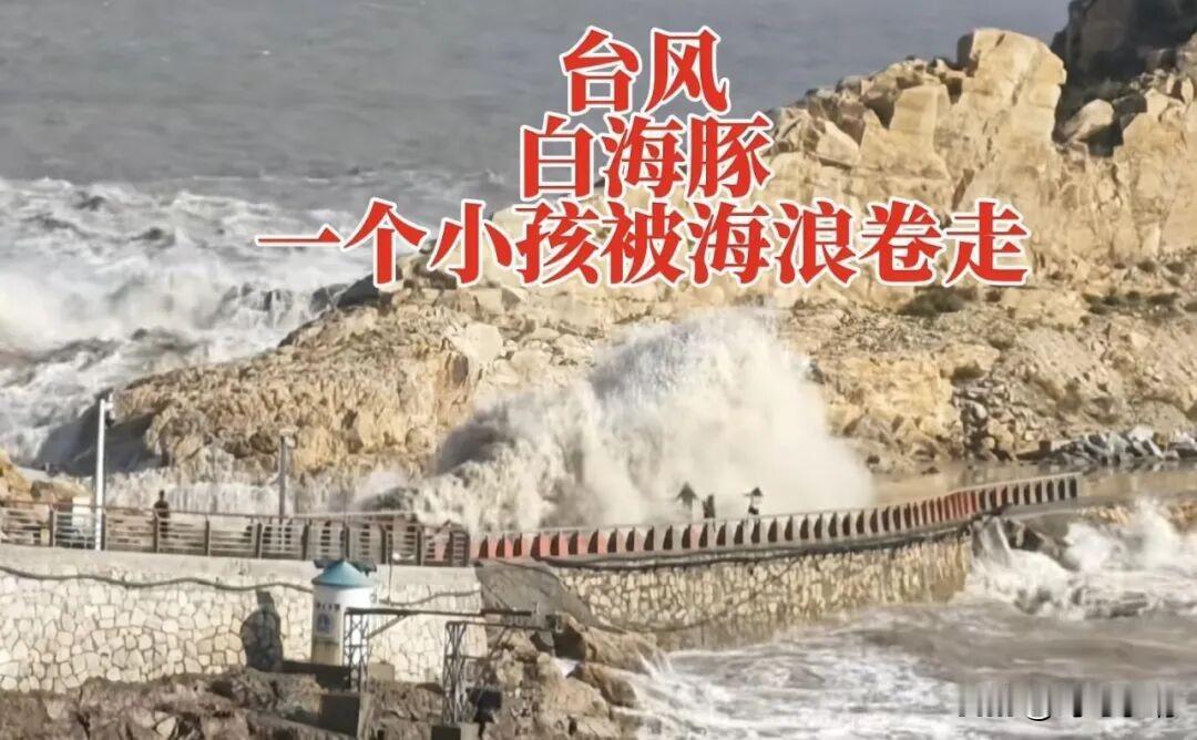 浙江温岭8月7日被海浪卷走的男孩，带他去游玩的两名成年人并非男孩的父母，而是其姑