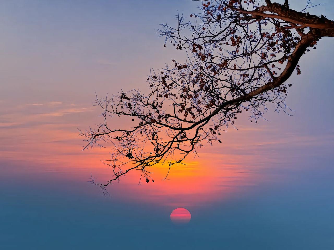 初三开学时，李同学的名字还挤在南京二十九中年级两百名开外，南师附中本部对他而言，