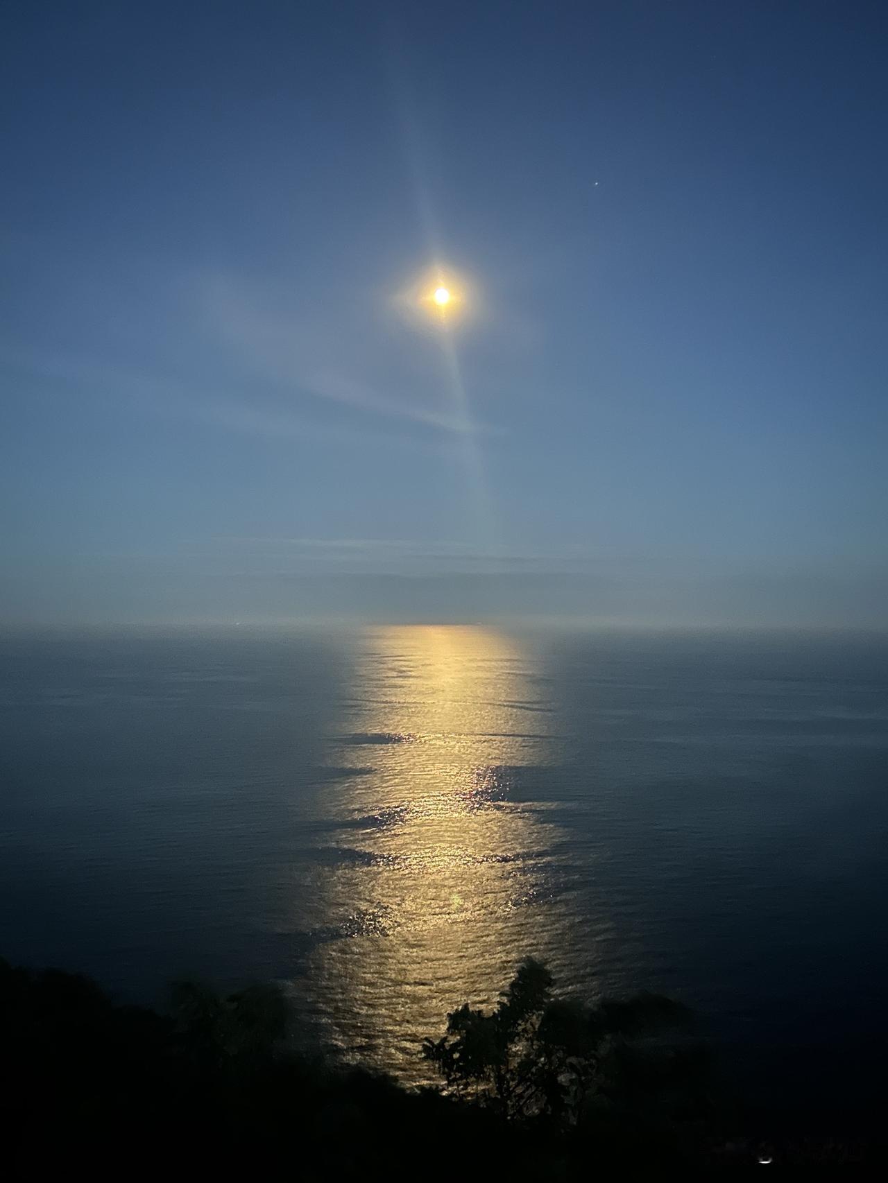 我见过太多自以为是的中层，每天把“管理”挂在嘴边，张口闭口就是“流程”“考核”，