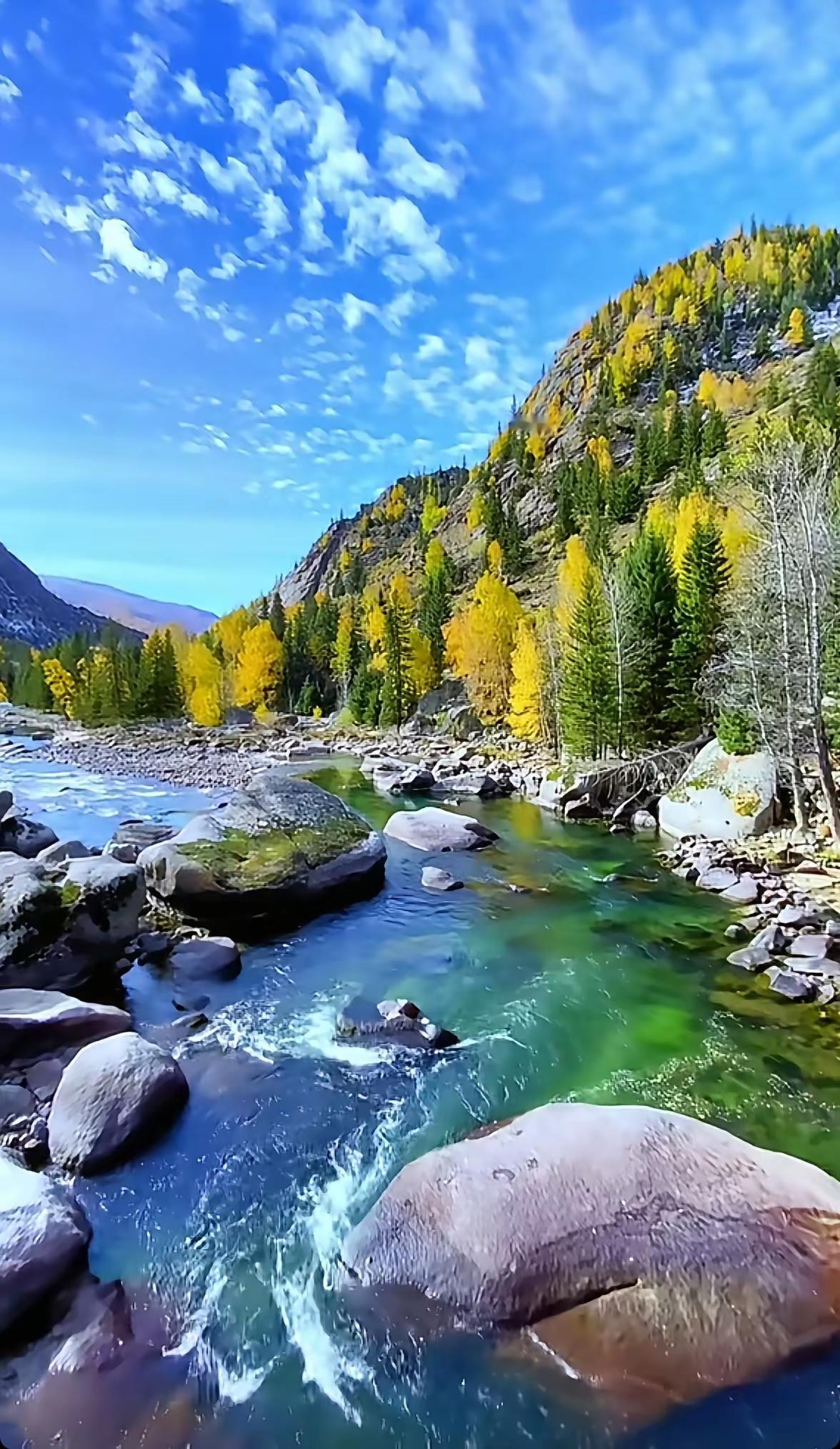 人生，从不闯红灯开始人生这条路，和行路一样，处处都有看不见的红灯。
