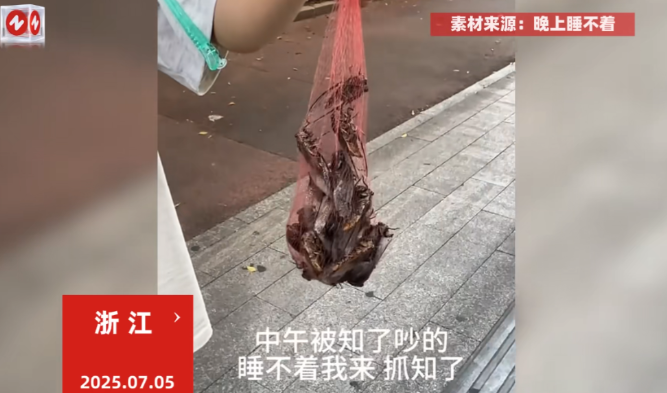 这简直是捡钱啊！”7月5日，浙江，一男子在家里午睡的时候，被树上的知了猴吵的睡不