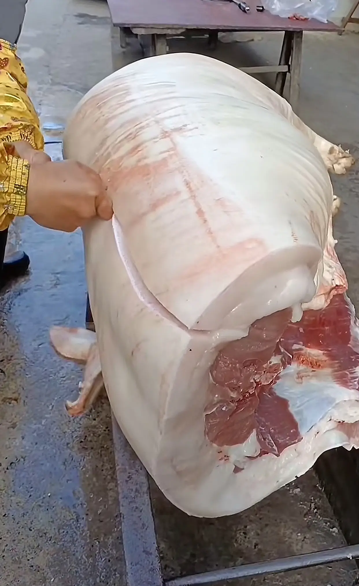 这才是真正的土猪肉啊！