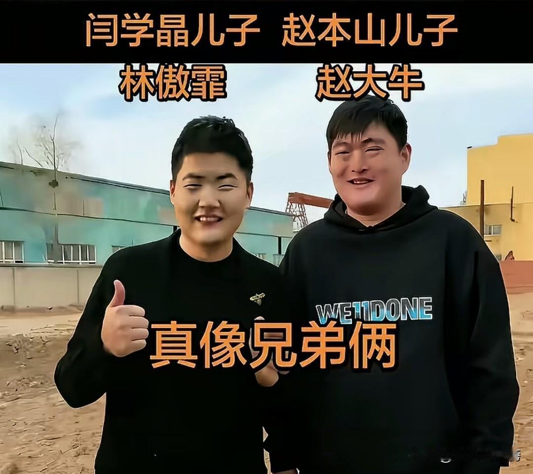 他们说他俩长得有点像，你说他俩像吗？要不要让他俩去做个亲自鉴定？说不定会有意想不