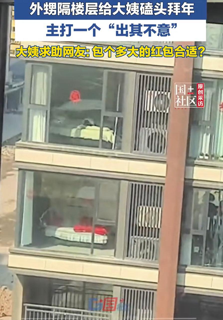 这下钱包保不住了！河南项城，女子大年初一在家里吃早饭，就想着看看对面楼的外甥在干