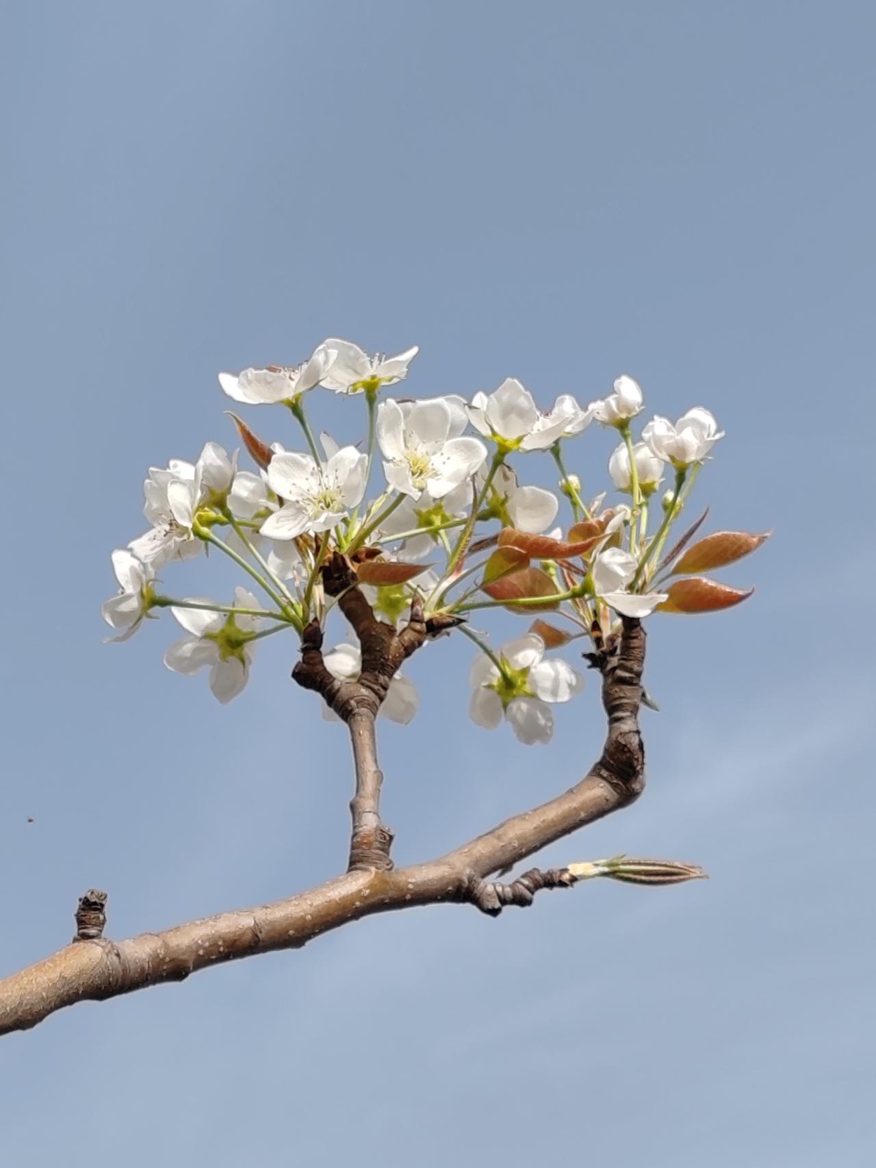 好美的风景，好俊的对仗。[赞]