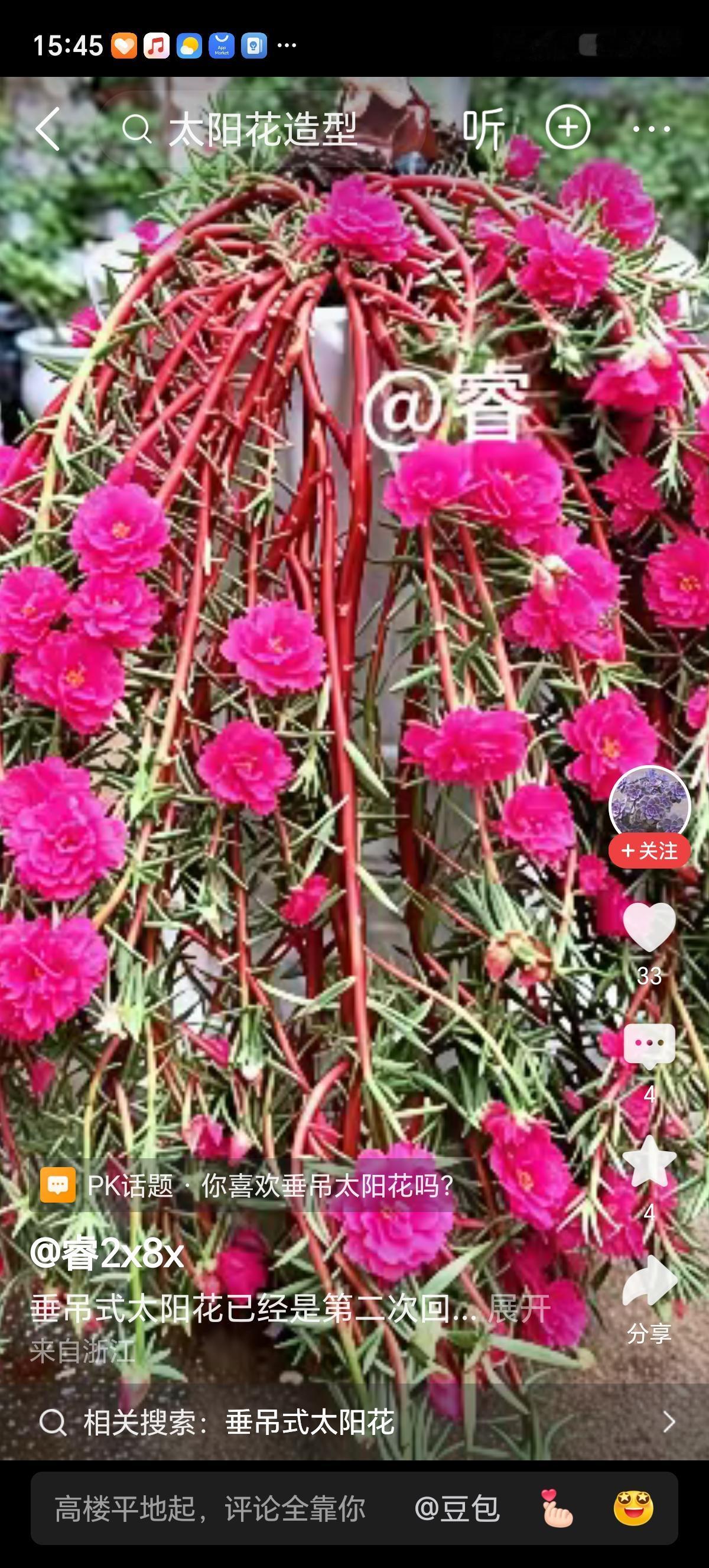 几个月不在家，养的高极花，君子兰，兰花，文竹盆景，八角金盘等大部分都旱死了，只有