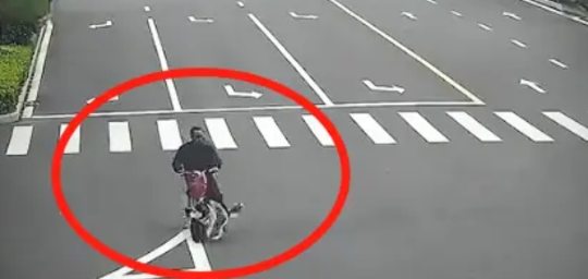 一条狗引发的交通事故！大爷骑电动车送孙子去上学，经过一个十字路口时，被突然冲出来