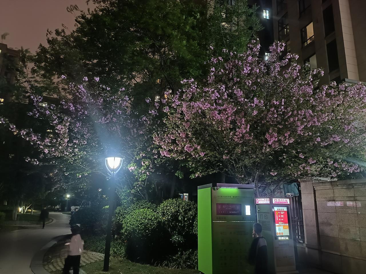 长沙南部融城片区加速崛起全新“山水洲城”绘就发展新图景“岳麓山为屏、湘江