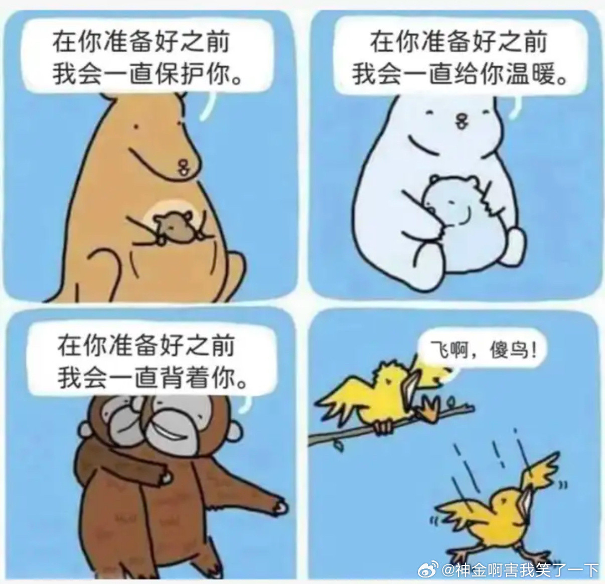 5136飞啊傻鸟​​​