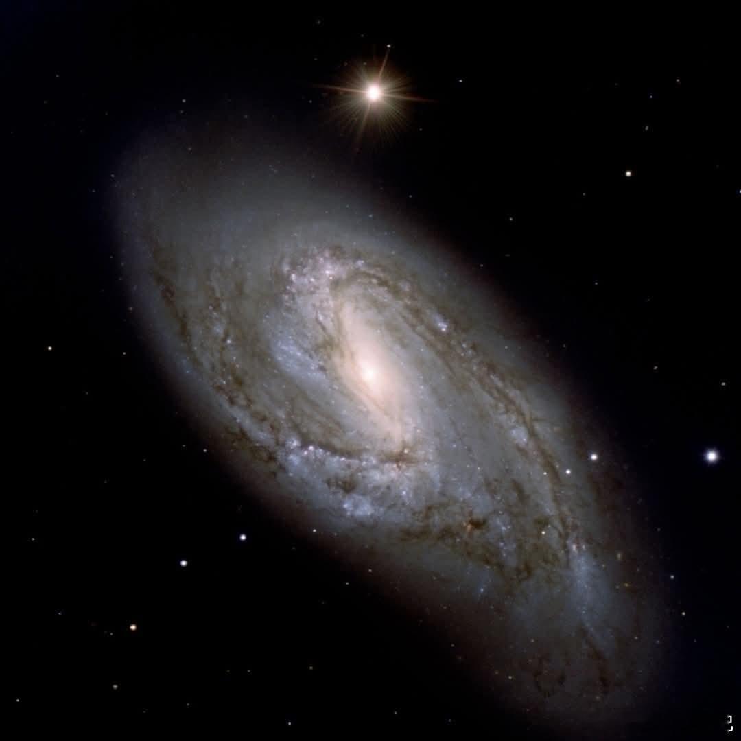 这个壮观的螺旋星系，被称为NGC3627或Messier66，位于狮子座内，