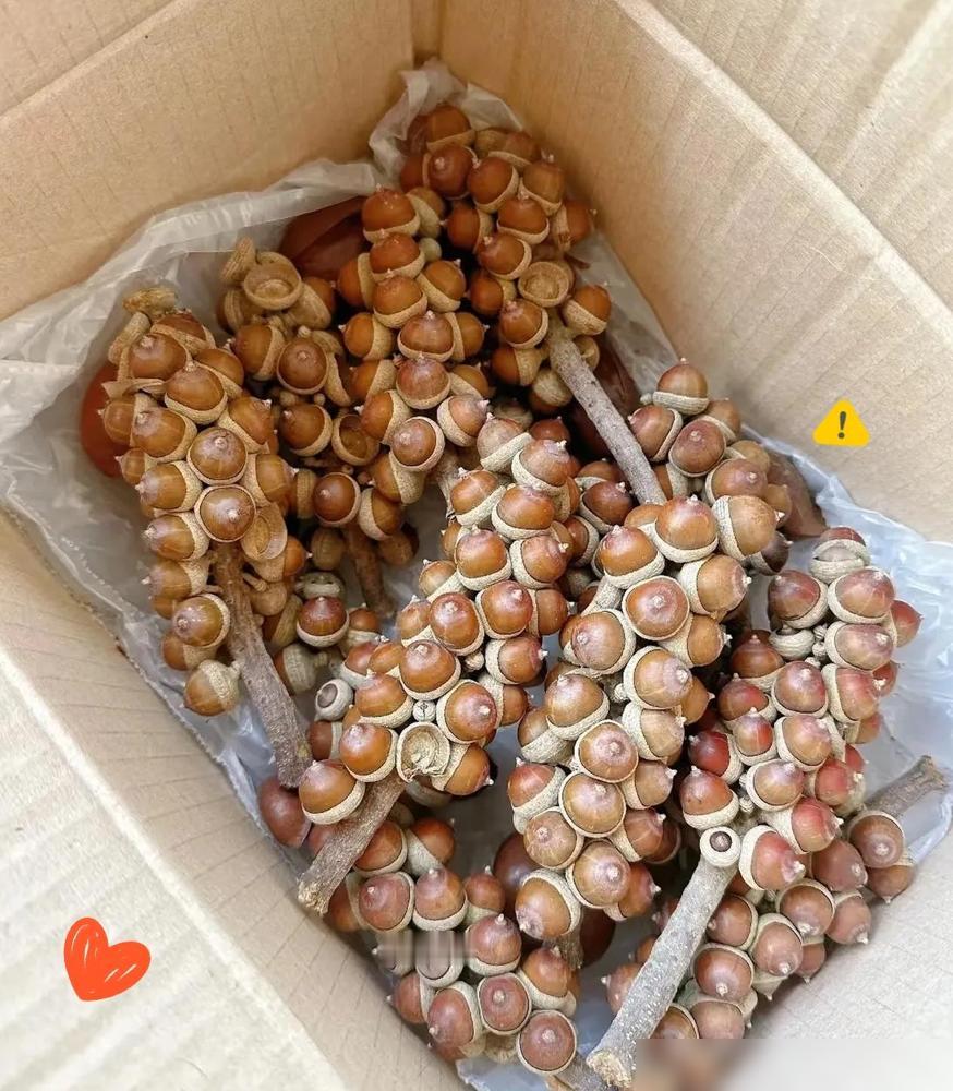 国庆家里收到一个快递，我妈兴冲冲拆开，看完直接想扔垃圾桶。其实这事我特别能理