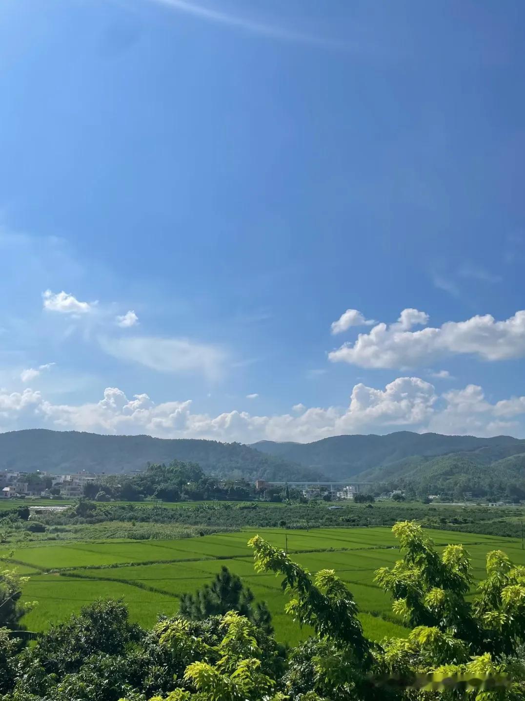 我真的太失败了！我今年54岁，今天是中秋节icon，没有一个人过来看我，我也