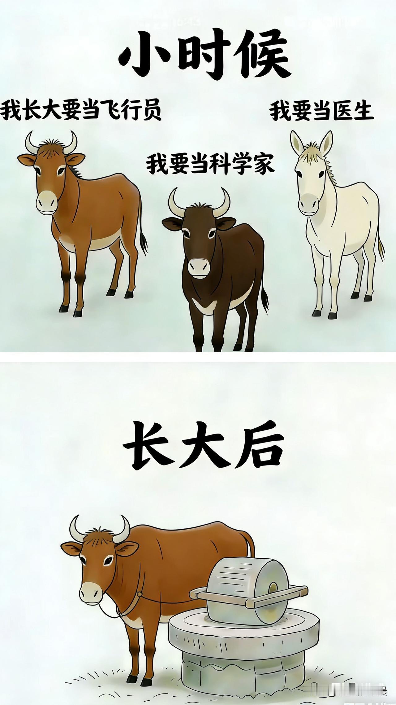 是不是所有的男的都不喜欢自己去买衣服我就属于这样的人，给自己买衣服，根本不会挑