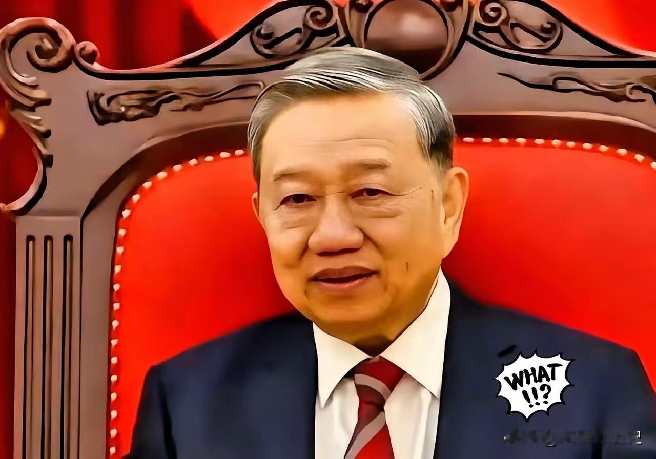 越南正式发布了公告，2025年11月21日，越南工贸部正式发布公告，应其国内生产