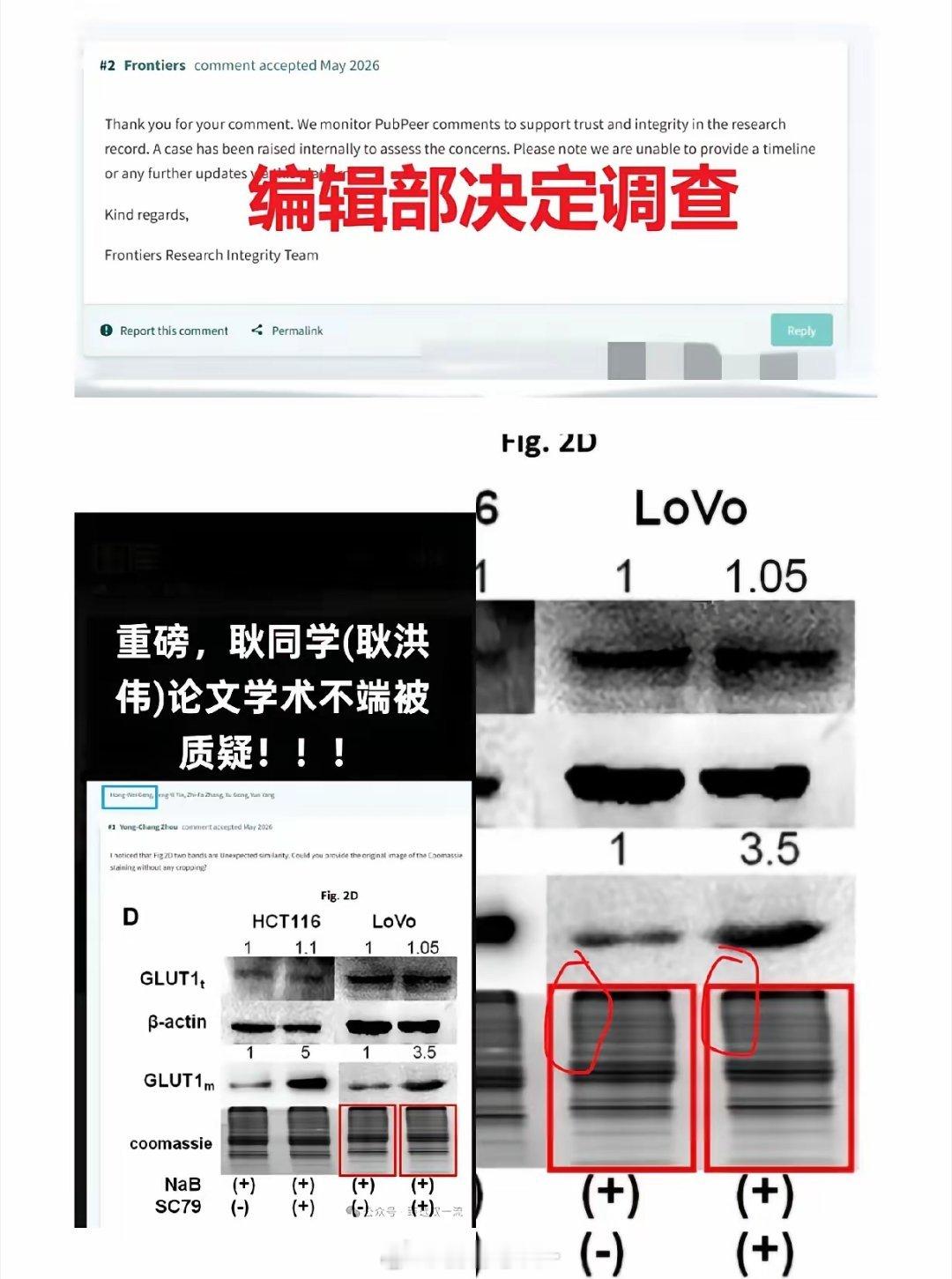 学术圈恶心一幕出现。学术不端者开始利用资源打击报复学术打假斗士耿同学，扒出耿同学