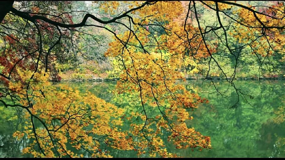 一个穷人家族最大的问题就是规矩太多，自尊心太强，内核太脆弱，活在别人的口中，好不