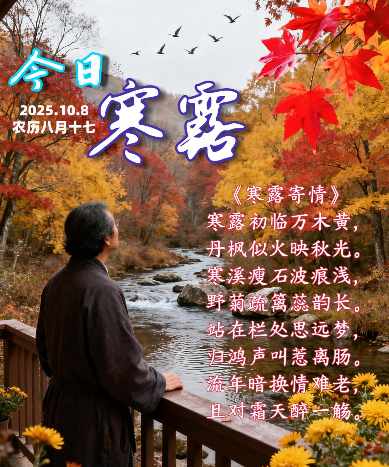 朋友：早上好！《寒露寄情》寒露初临万木黄，丹枫似火映秋光。寒溪瘦石波痕浅，