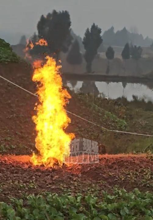 地下喷火！烧了8天连续下雨也未灭！1月4日，四川南充蓬安县徐家镇通报，当地一块