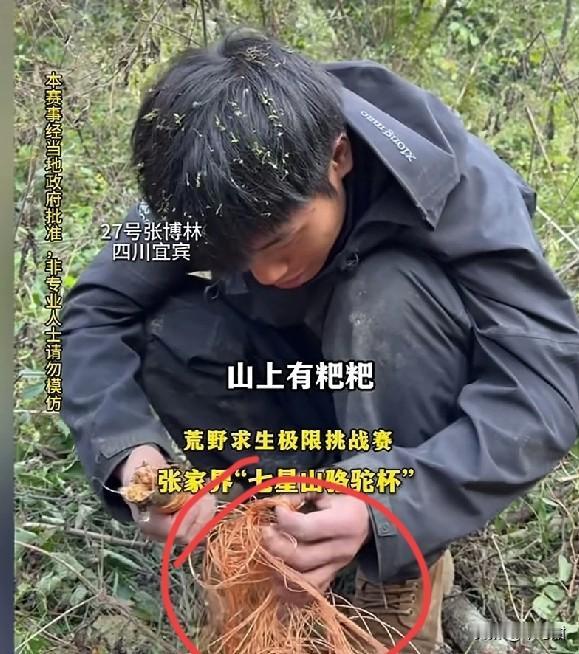 老中医因为鞋垫藏线，被红牌罚出比赛现场，可如今，已经上山了的林北，却翻出能绕“七