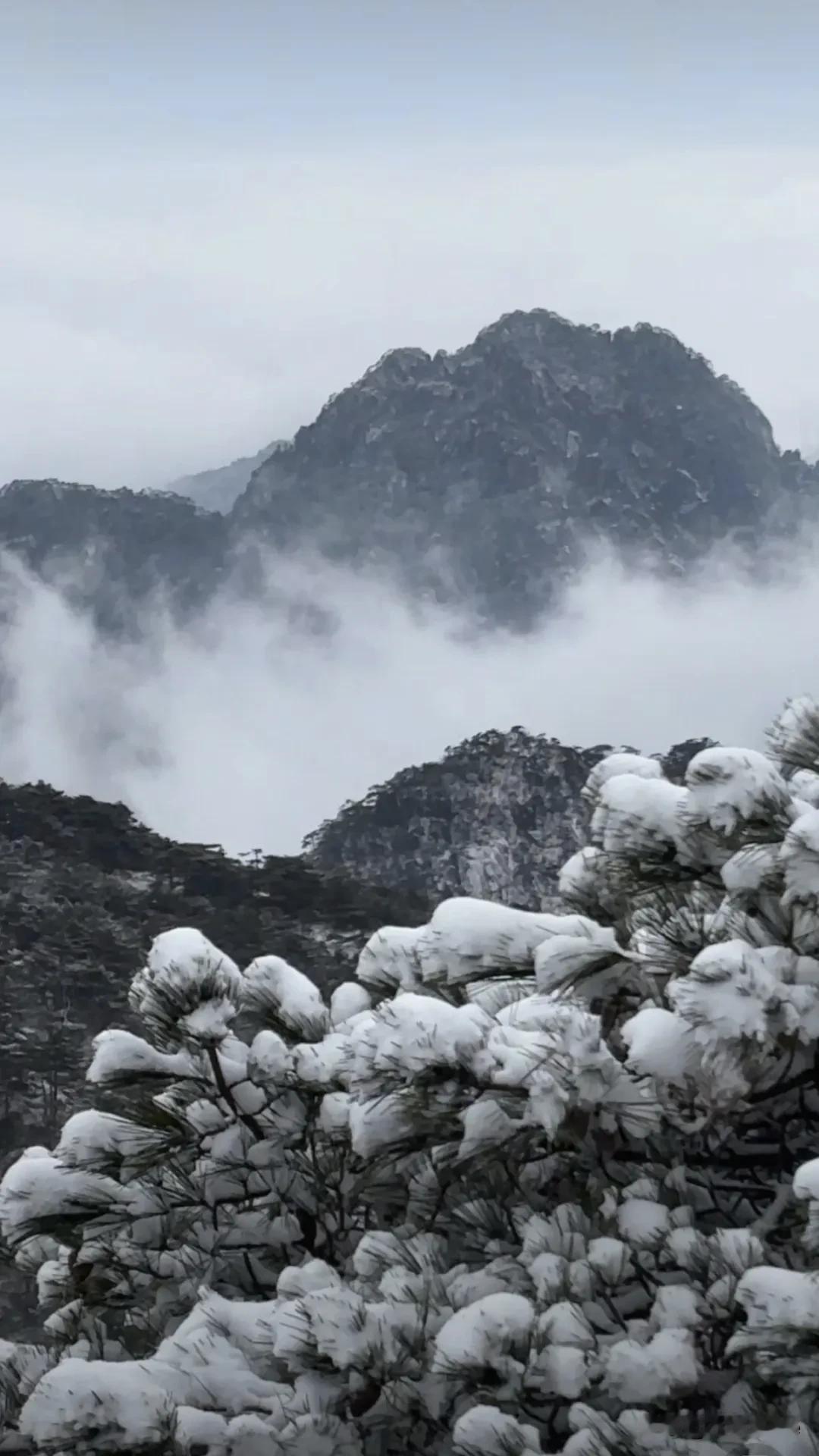 黄山又下雪了，最近这雪下得还挺频繁。不过这也让黄山有了不一样的美。雪后的黄山像