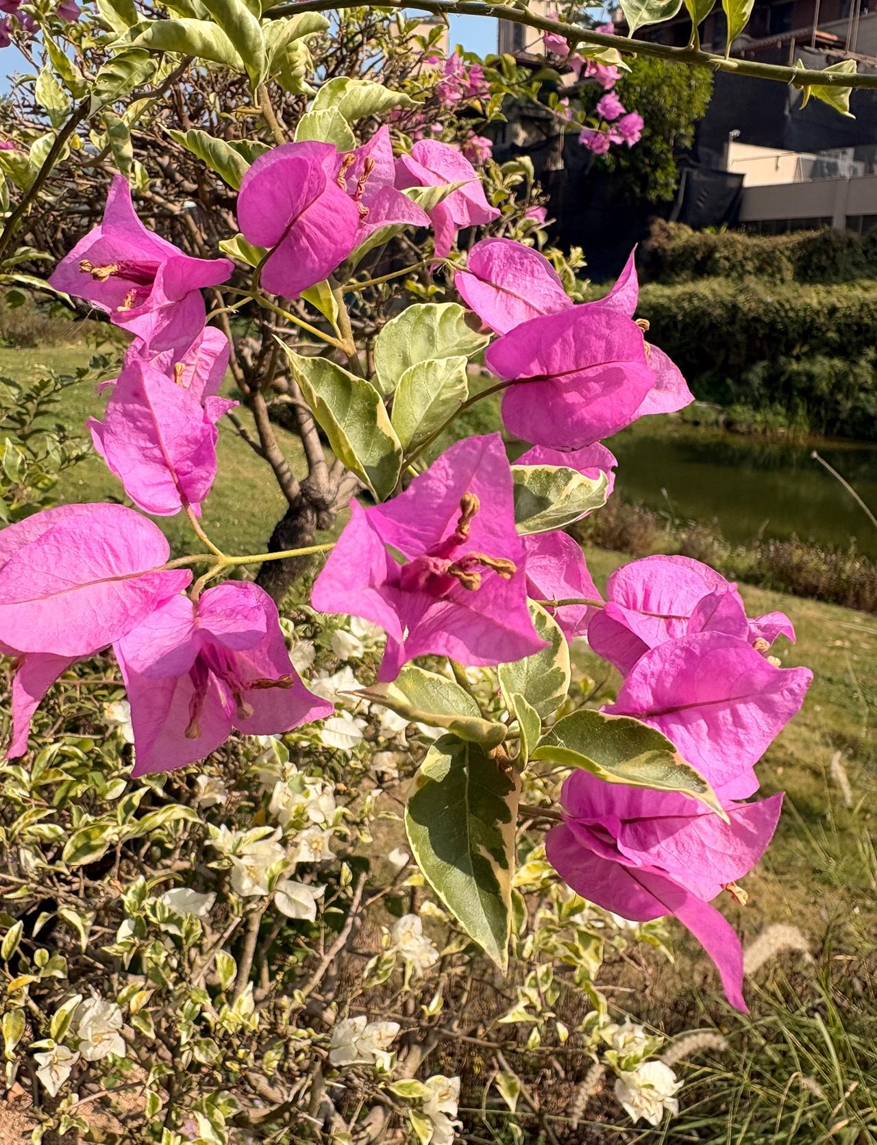 关于物业费？有一个话题，长期没人住的房子，应不应该交物业费？其实，这种情况