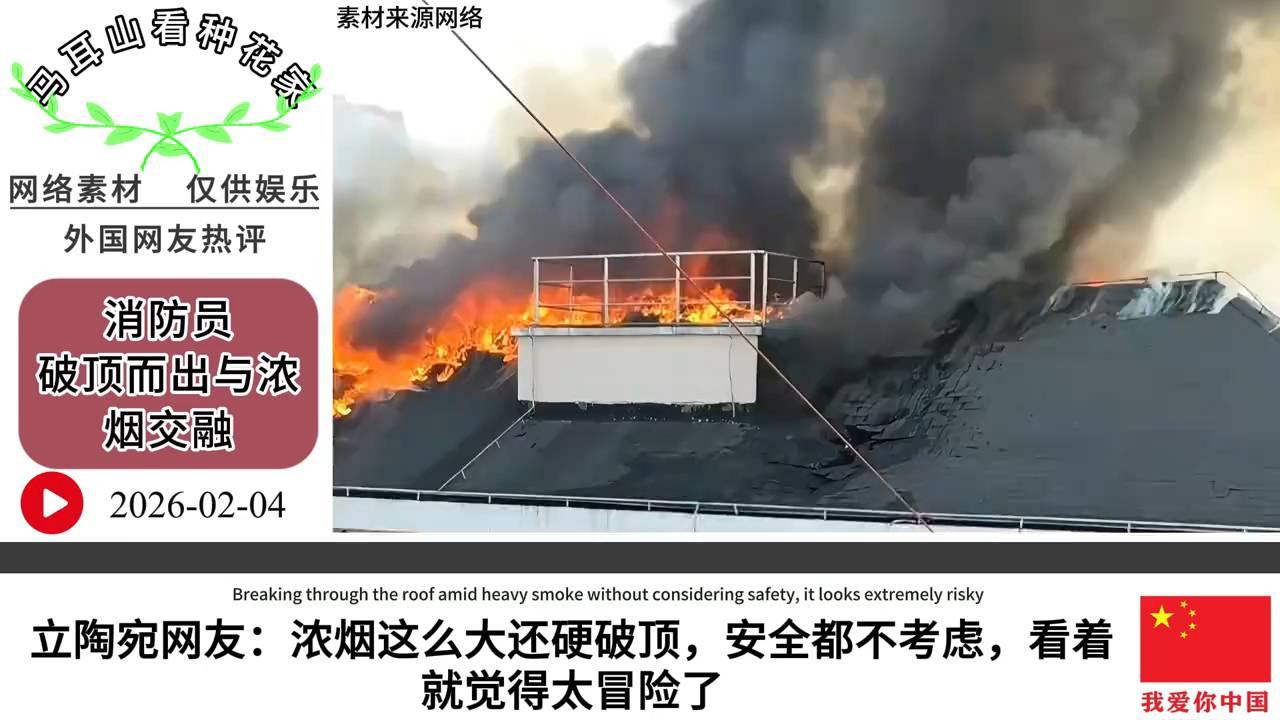 上海消防员浓烟中破顶救人！外网热评震撼全网