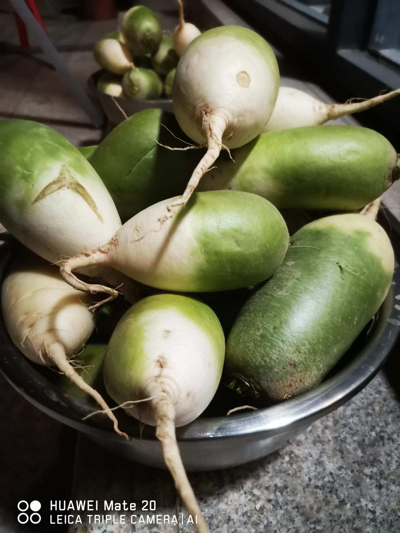 昨天在菜市场1元钱买了一把茼蒿，7两重可以蒸一大盘，3角钱一斤的青萝卜买了20斤