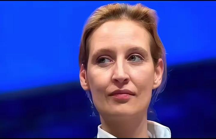 “德国一个女政客，叫魏德尔，直接把一个问题砸在全欧洲的脸上：“当年你们骂普京，嗓