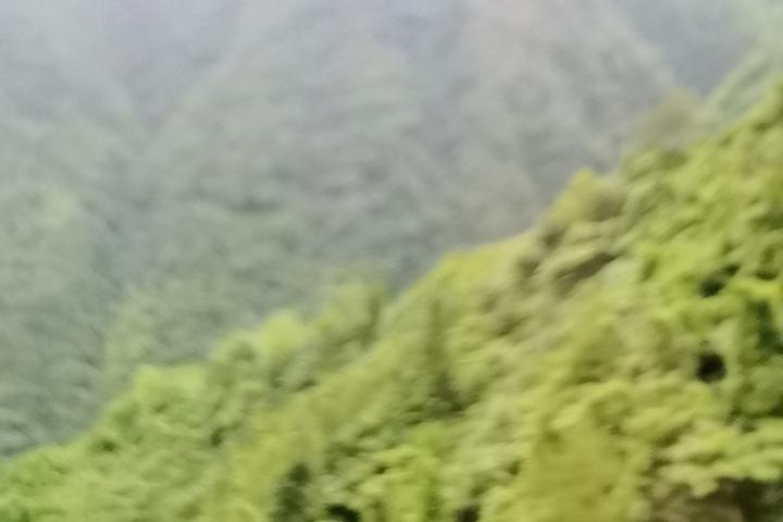 曾经一位济宁的朋友，在北京赚了大钱，那一年特意回老家过年，买了一百只羊羔，分别赠