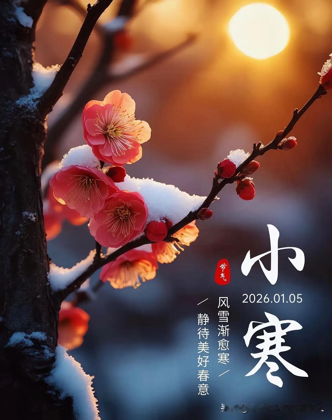 明天就是小寒啦！老辈人常说“上午小寒冻死牛，下午小寒暖烘烘”，巧了，2026年小