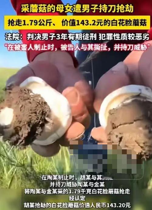 “脸都不要了！”内蒙古一对母女在草场捡蘑菇，一男子骑摩托路过，趁两人不注意，拎起