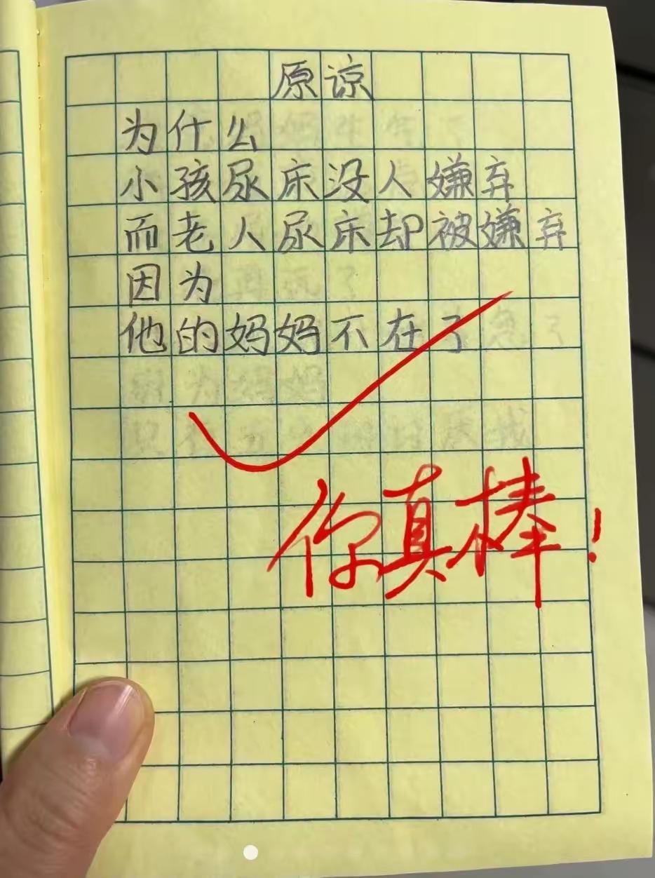 世上只有妈妈的爱没有丝毫嫌弃。让人心酸的小作文。