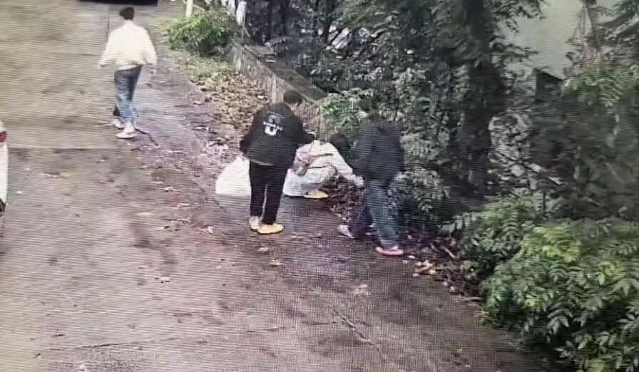 国庆假期，江苏一网友去连云港花果山景区玩，看到路边掉的果实以为是板栗，捡起来查看