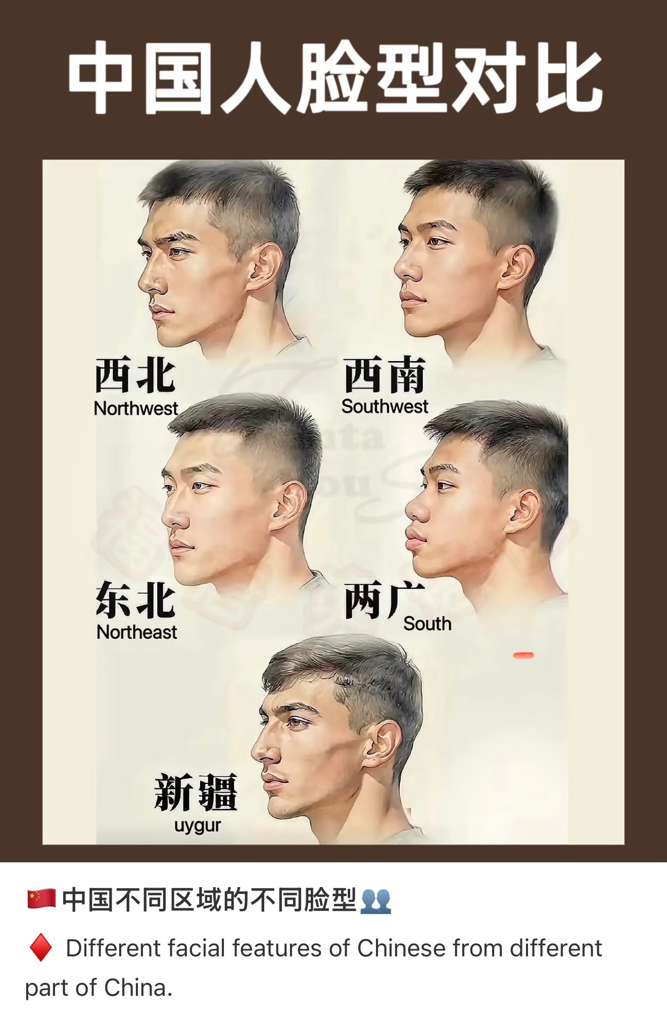 西北人画的图吗