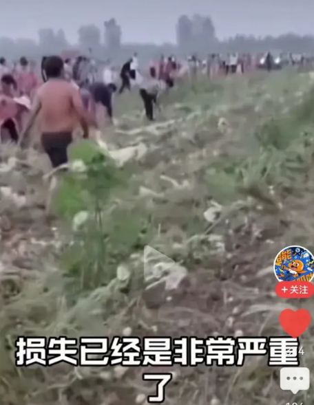 说到被哄抢的损失，一定要实事求是。不懂得，不要传、甚至是夸大，变成了实际的上的诬