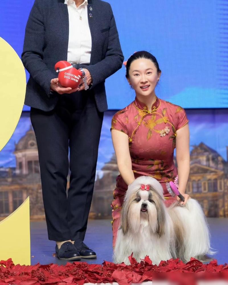 霍思燕有一点就让我们很难超越。不是有錢。也不是杜江对她太好，更不是把錢砸在狗的身