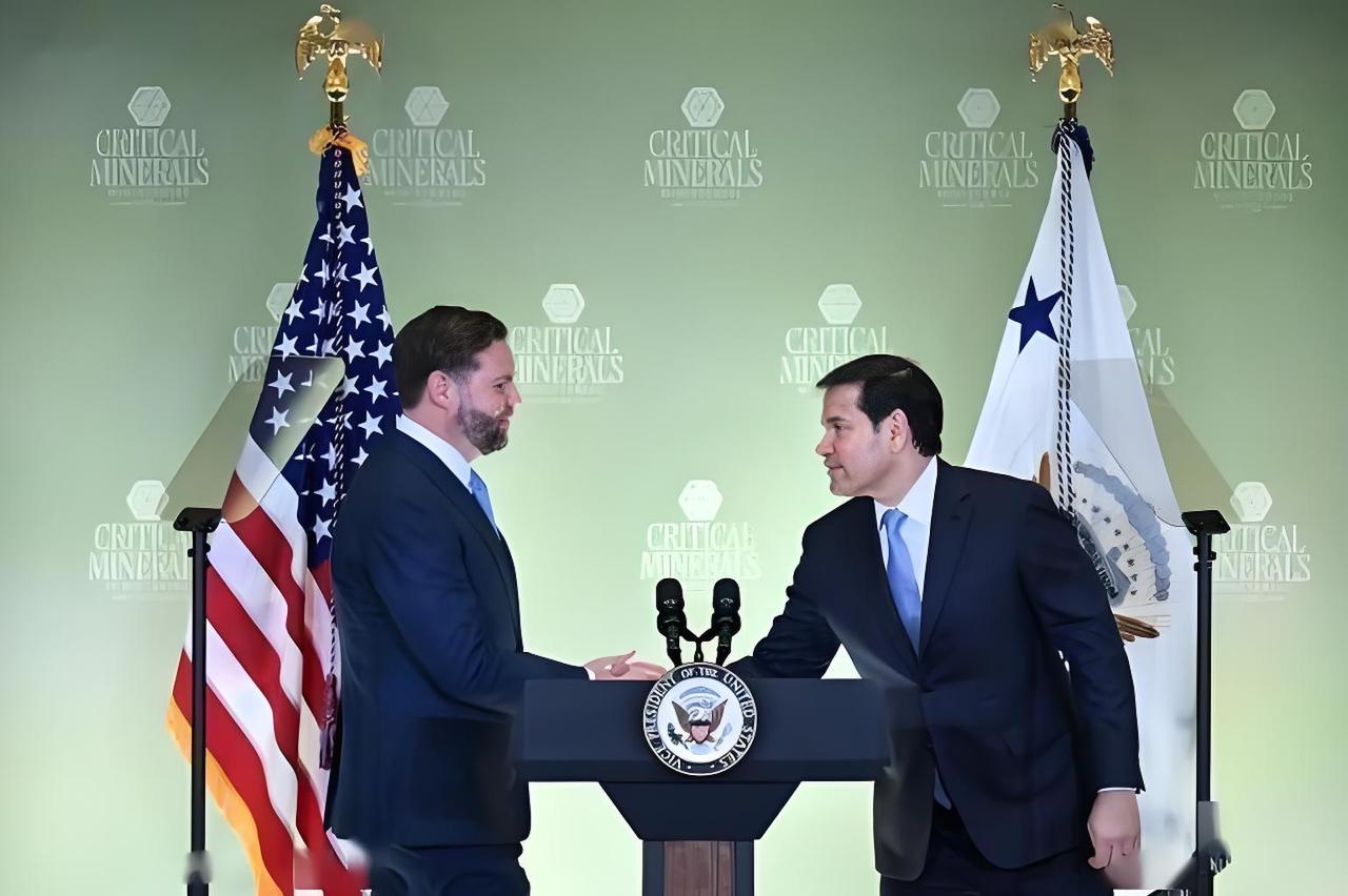 2028年，大概率是万斯与纽森进行大战了。当地时间3月29日，共和党来了个模