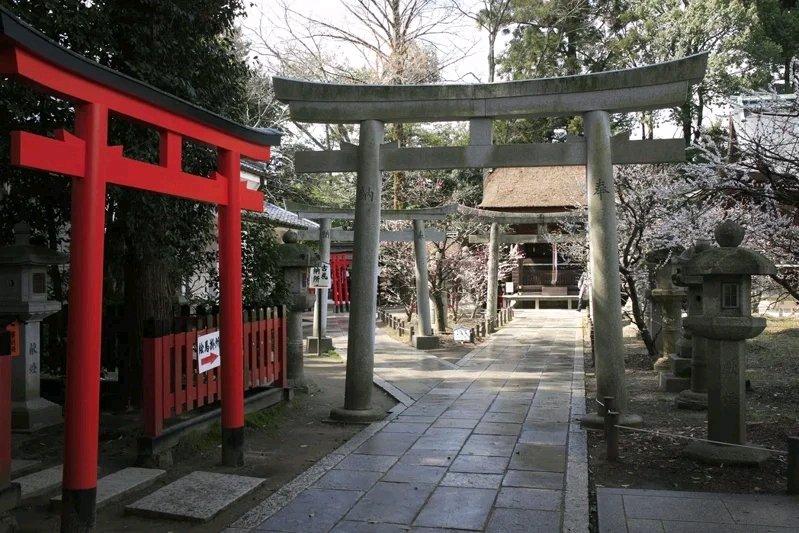 最近日本奈良市议员原田将大发视频指责中国游客没礼貌。视频里，奈良一处神社拜殿阶梯