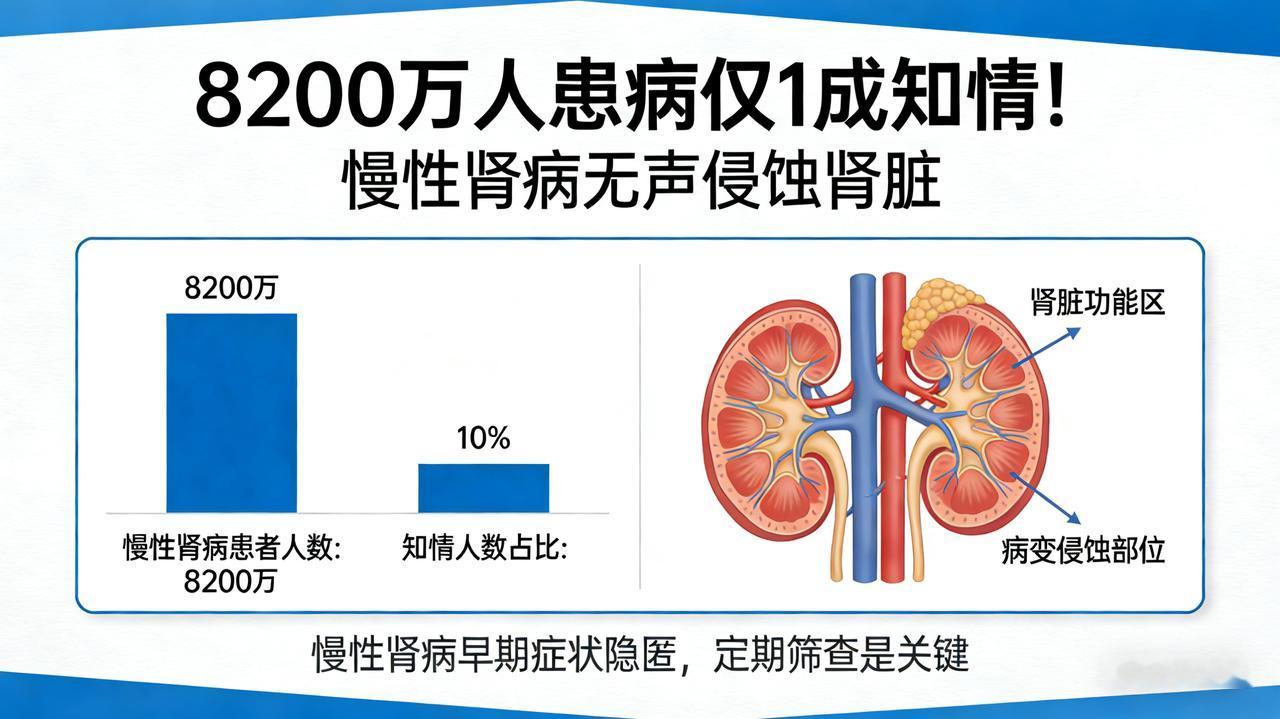 8200万人患病仅1成知情！慢性肾病无声侵蚀肾脏这是一篇“沉浸式灾难片”