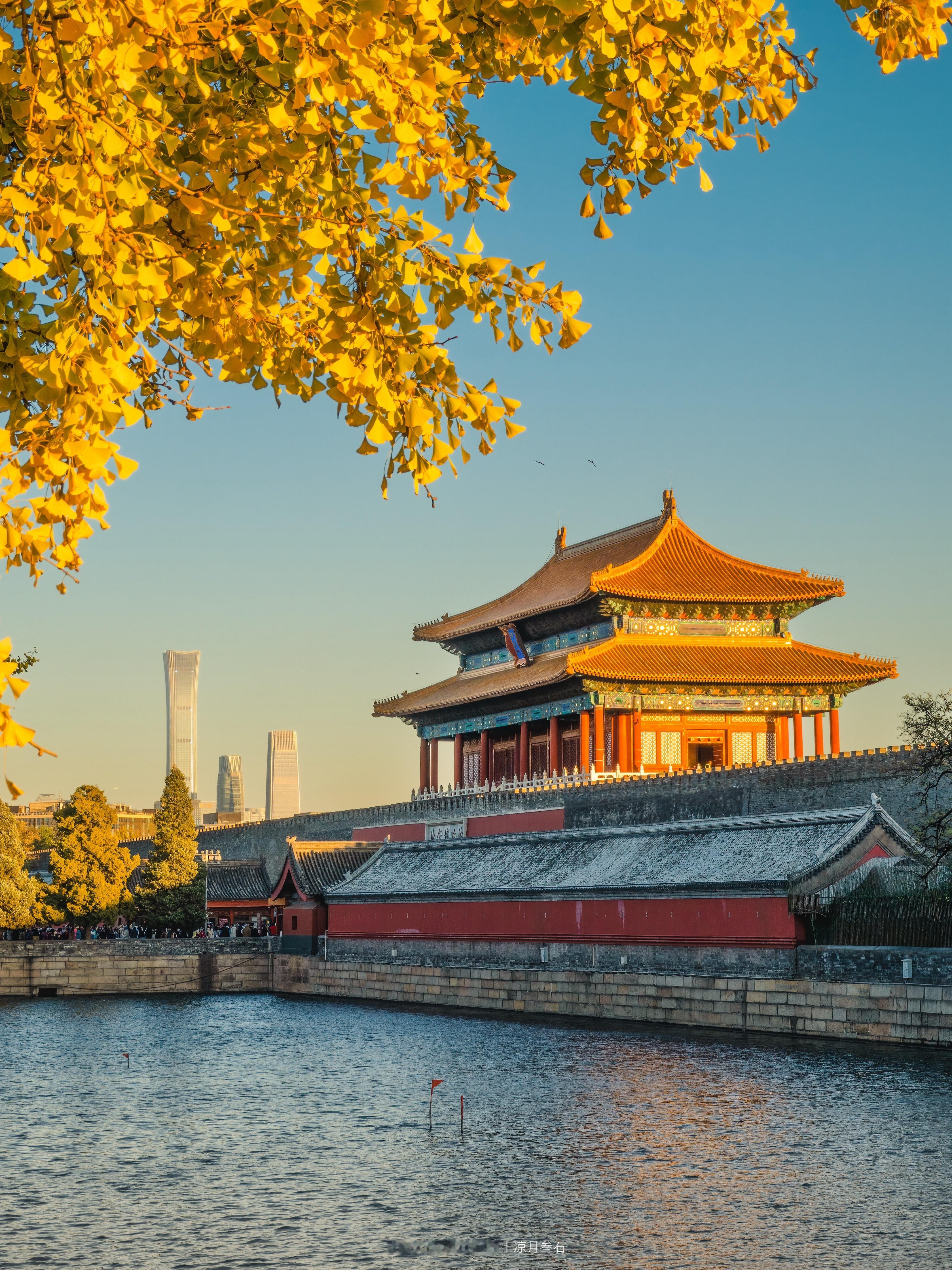 接下来的故宫是一眼千年红墙金叶的秋🍂宝藏摄影博主推荐计划北京的秋天