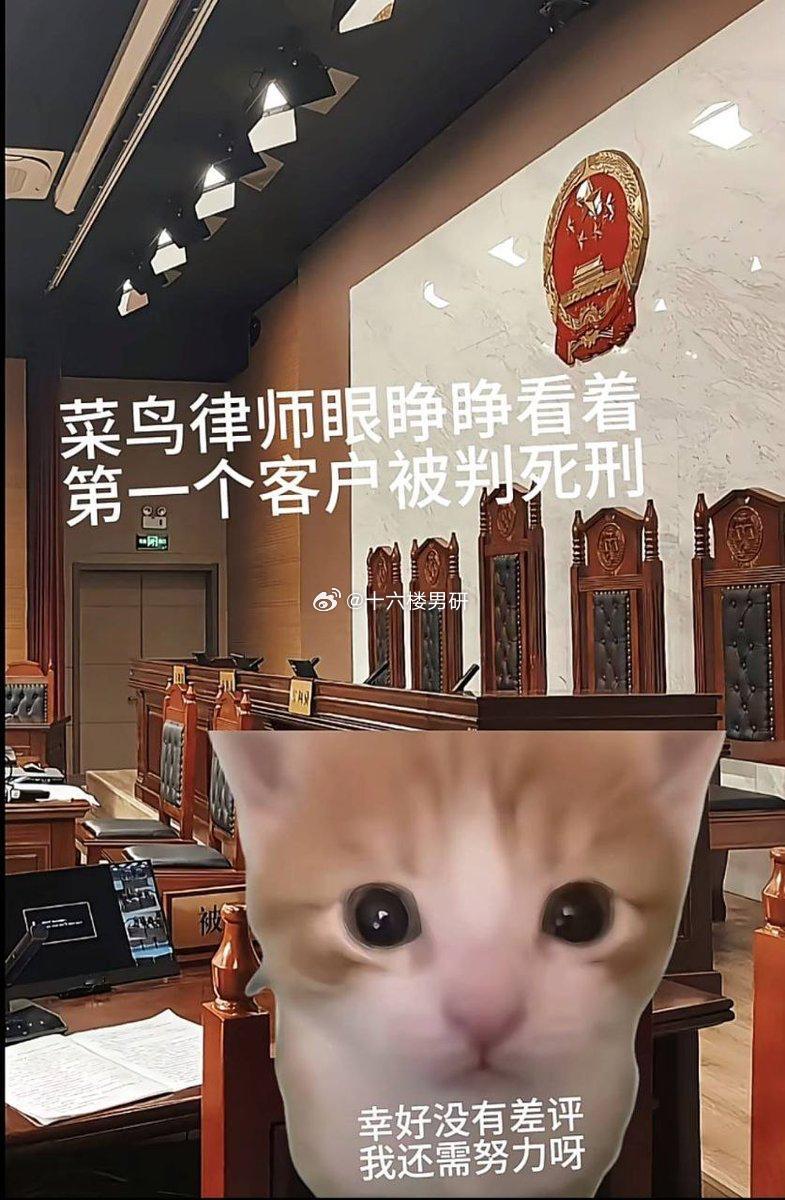 0差评律师出现了
