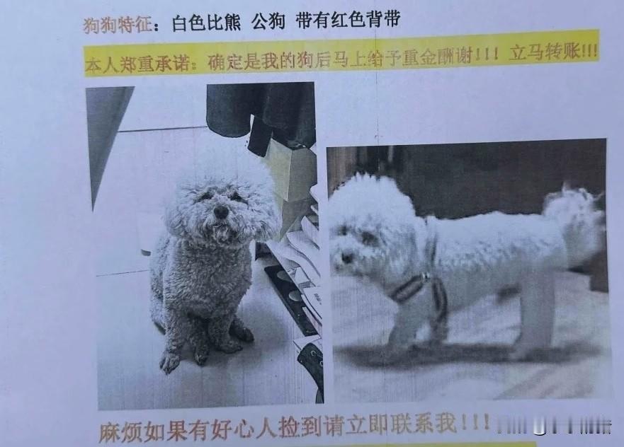 四十多岁的邻居，去城里干保姆。才干了一个月，主人全家去旅游，她自告奋勇把主人的小
