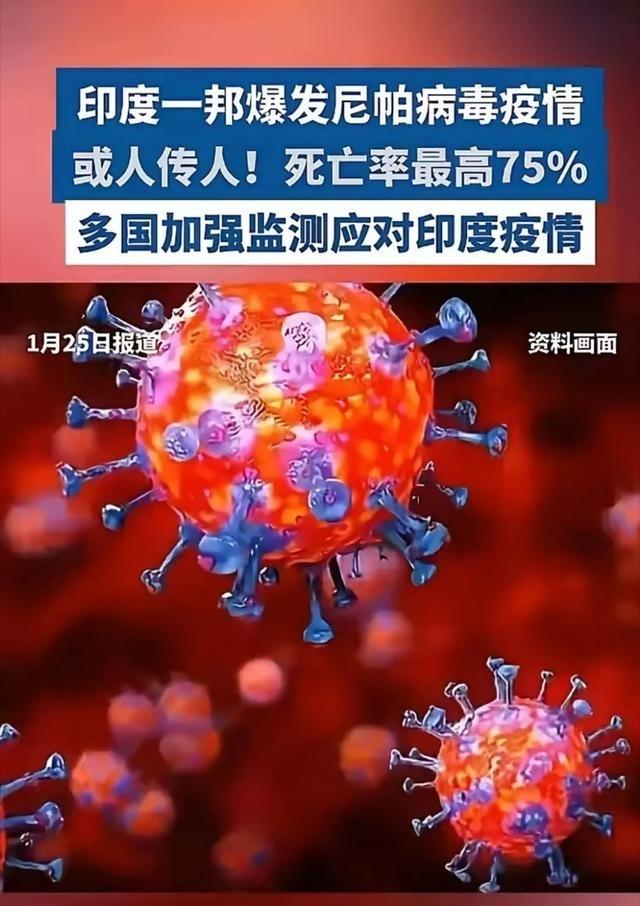 前脚刚把世卫组织的群给退了，后脚印度那边就炸了锅！一种致死率高达75%的恐怖病毒