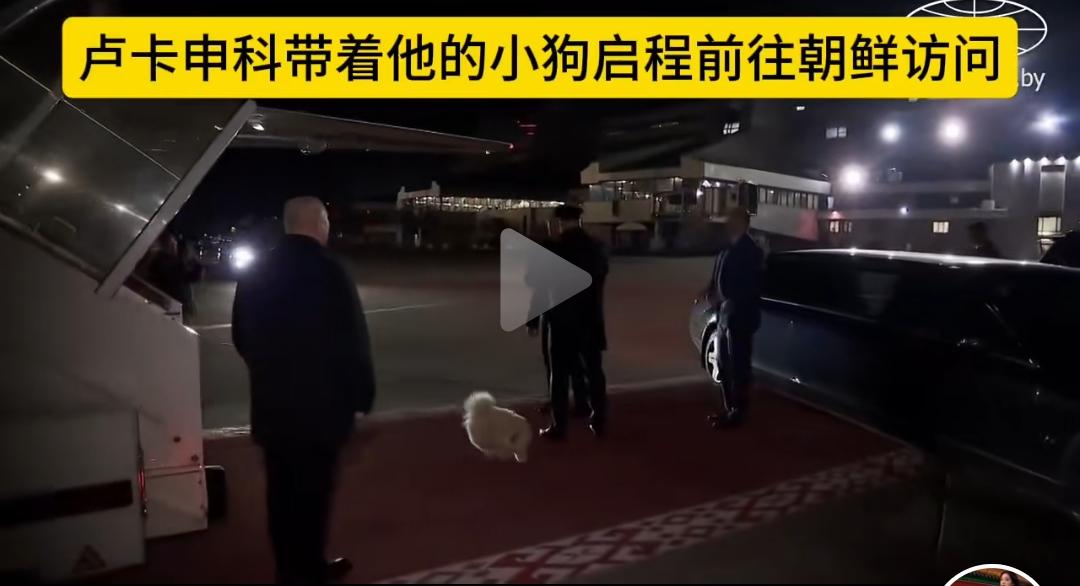 我国上海有人开办了宠物幼儿园，因此受到很多不满和谴责。有人说幼儿园是人上的，让