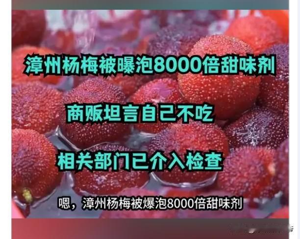 今年杨梅生意算是完蛋了。原来福建漳州浮宫、白水镇收购点被暗访的视频被是真的。。。