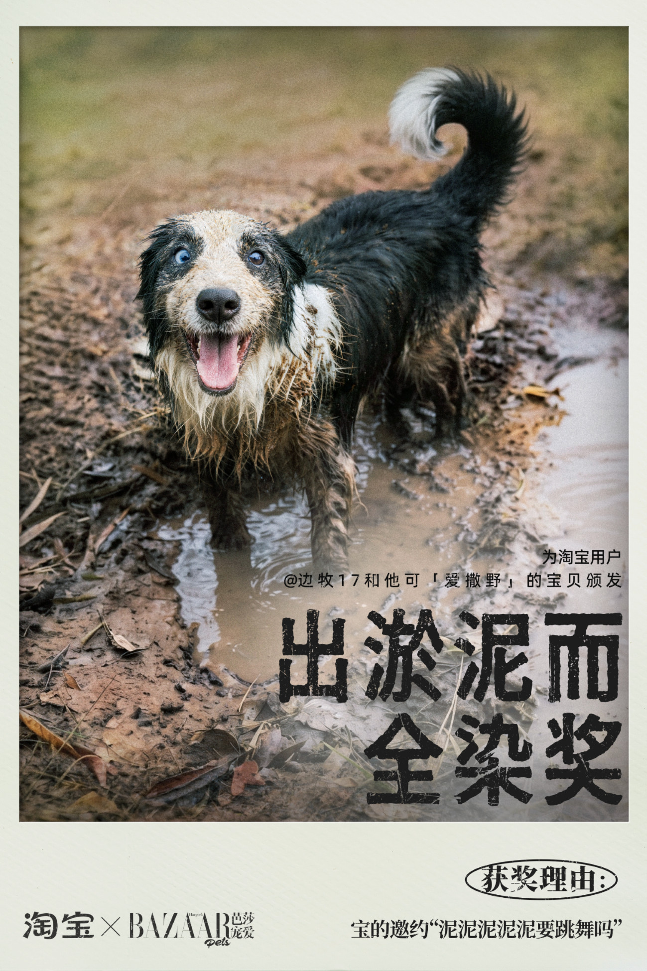 淘气宝闯祸大会开奖了！好好好好好！闯祸闯成这样还那么可爱，这6个赛道冠军也是很权
