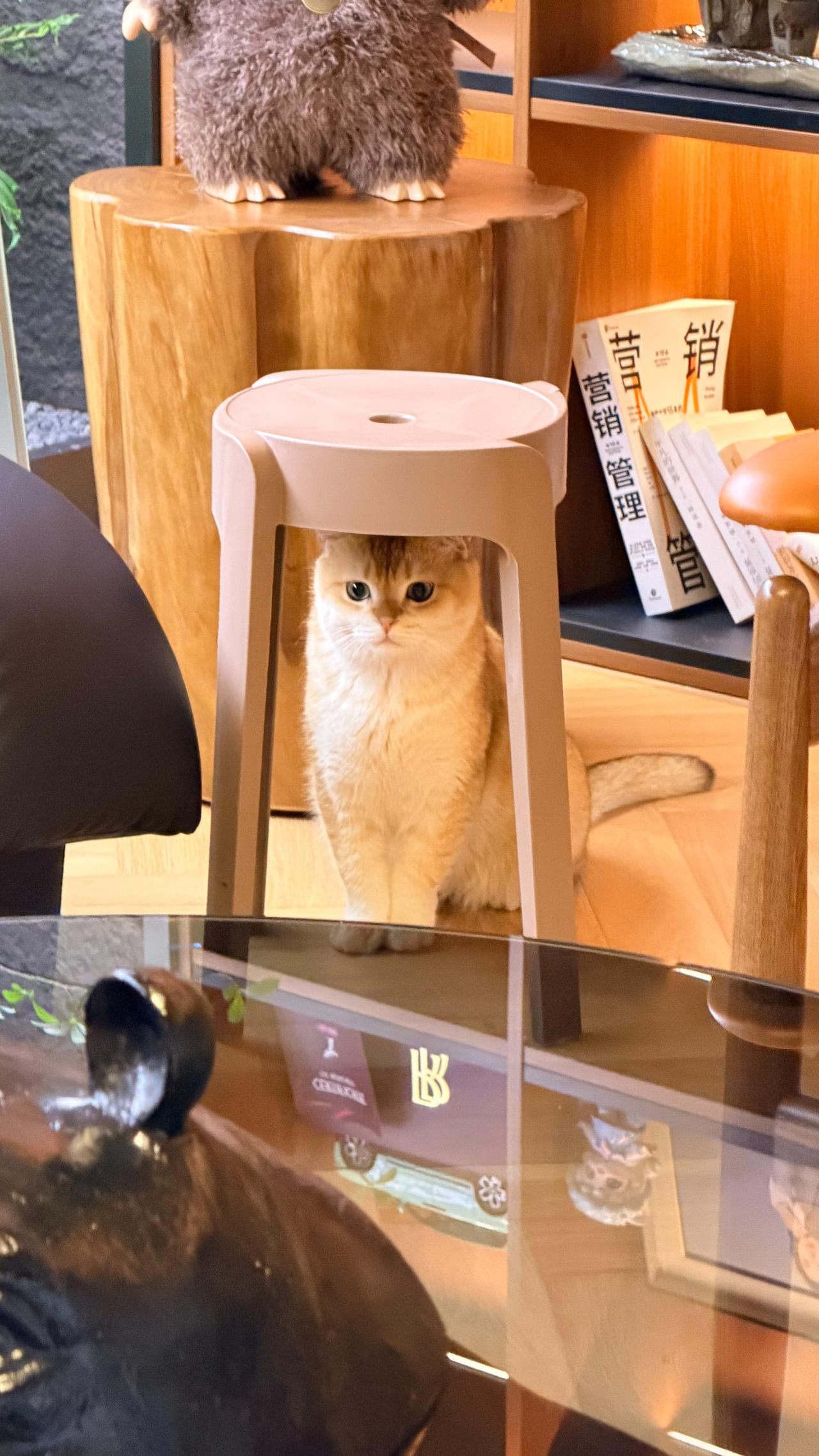 为什么条件好的人，反而容易在感情里吃亏？不是因为坏人太多，而是因为你太好说话。