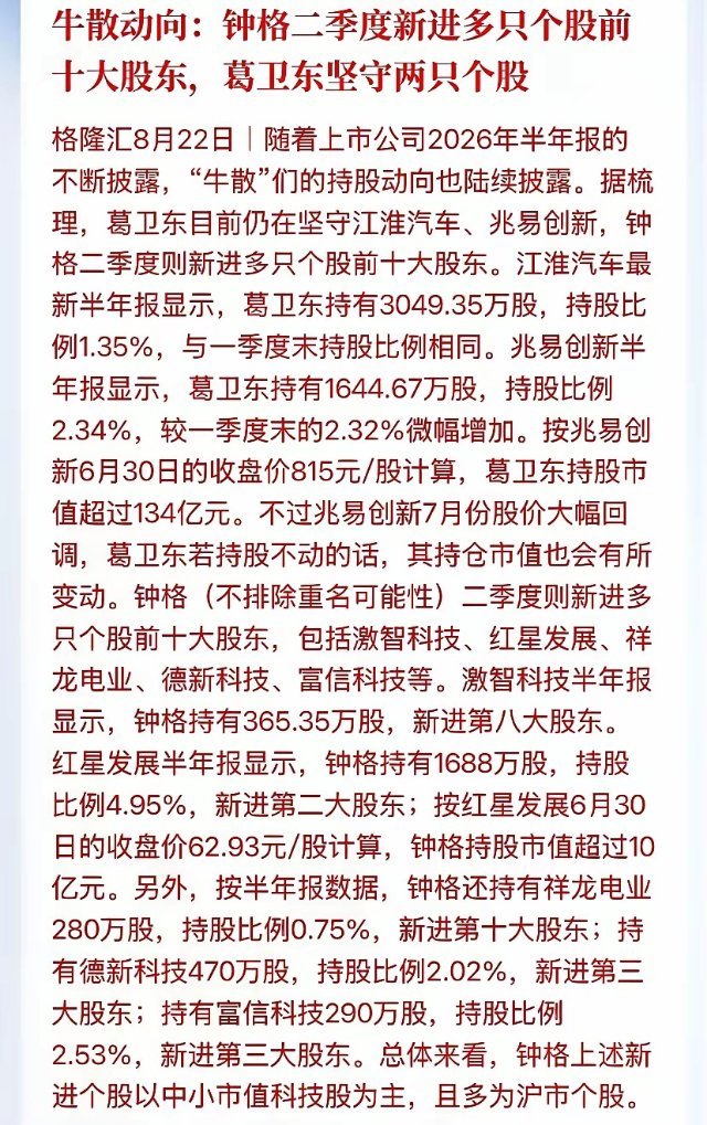 二季度牛散底牌彻底曝光❗葛卫东百亿锁仓兆易创新、江淮汽车，死磕半导体+新能源核心