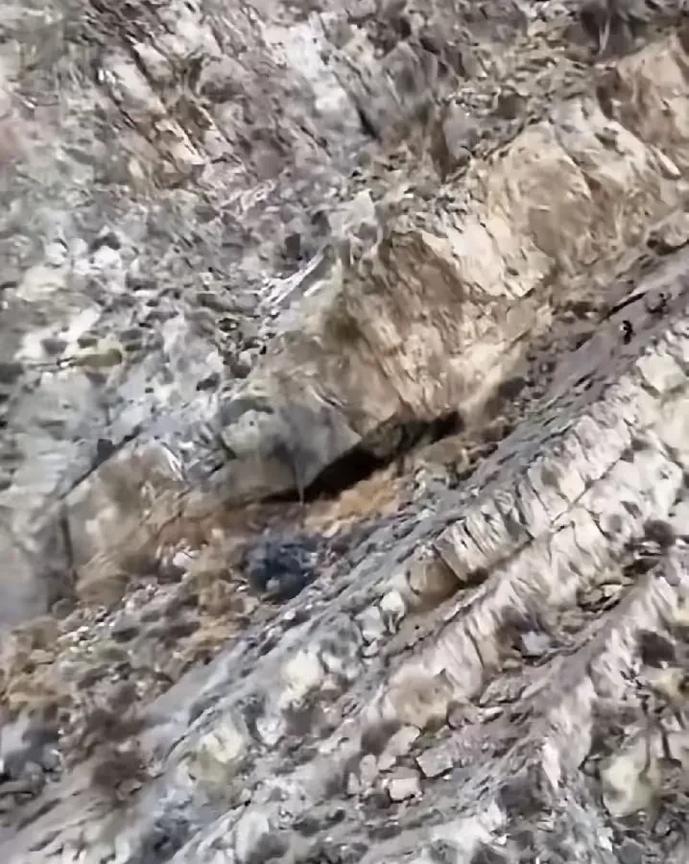 无人机携带的热成像系统，让躲在大山岩石缝隙里面的俾路支恐怖分子无处遁形，一览无余